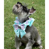 Disney Ariel Collar - Pet Costumes - 2 - thumbnail