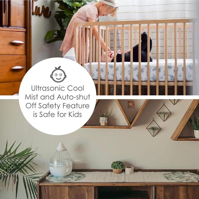 Drop Cool-Mist Humidifier, 1 Gal. - Clear & White - Humidifiers - 3