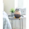 Adorable Humidifier, Mini Owl, Cool Mist Humidifier with Vapor Tray, 0.5 Gal. - Humidifiers - 5 - thumbnail