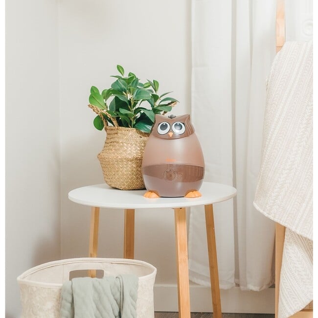 Adorable Humidifier, Mini Owl, Cool Mist Humidifier with Vapor Tray, 0.5 Gal. - Humidifiers - 6