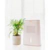 4 Pint Compact Dehumidifier for Small to Medium Rooms - Humidifiers - 4 - thumbnail
