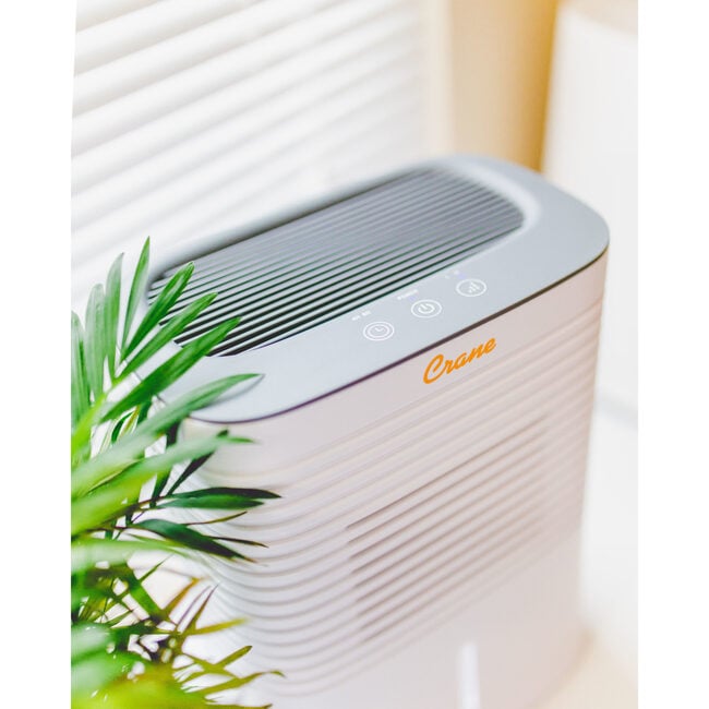 4 Pint Compact Dehumidifier for Small to Medium Rooms - Humidifiers - 5
