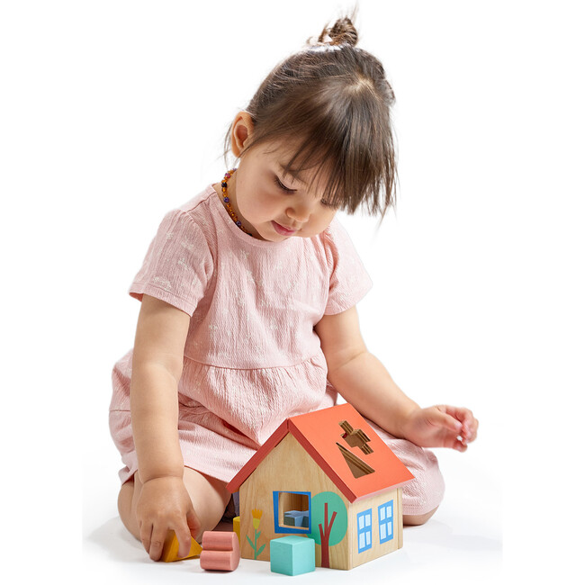 Shape Sorter House
