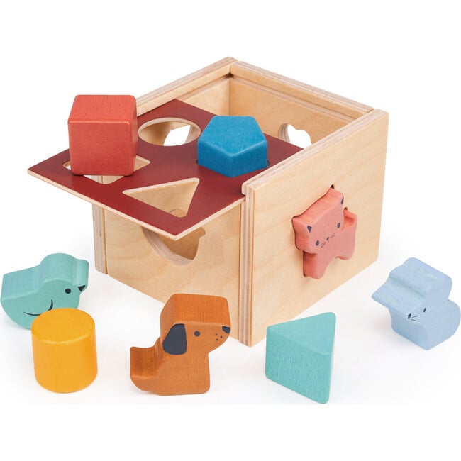 Bambino Shape Sorting Cube