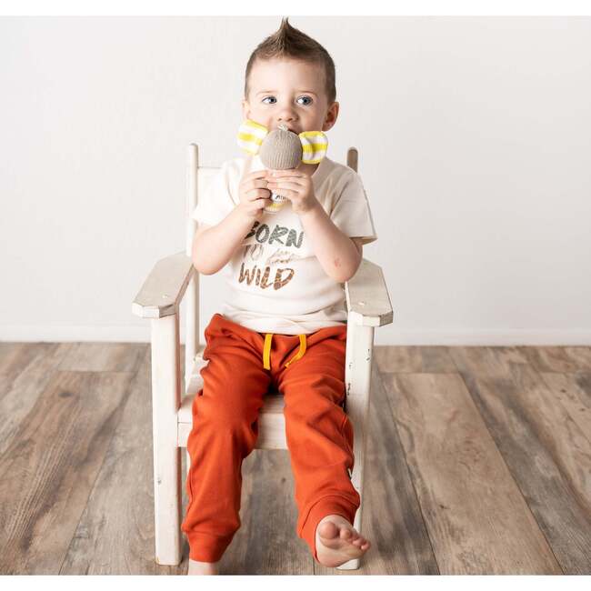 Graphic Tee, Born To Be Wild