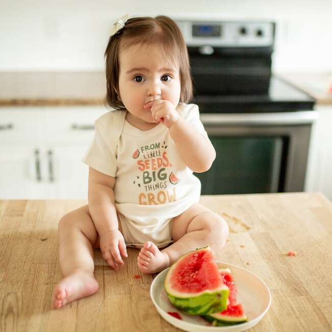 Graphic Bodysuit, From Little Seeds - Onesies - 3
