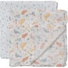 Studio Oh! Swaddle Blanket Set, Roarsome (Pack Of 2) - Swaddles - 2 - thumbnail