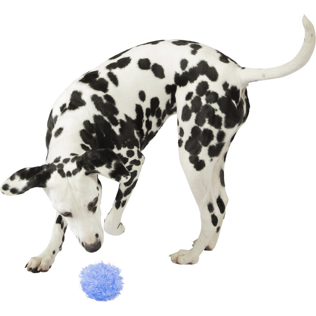 Freaky Squeakies Blueberry Fabric Covered Silicone Toss and Return Dog Toy - Pet Toys - 4