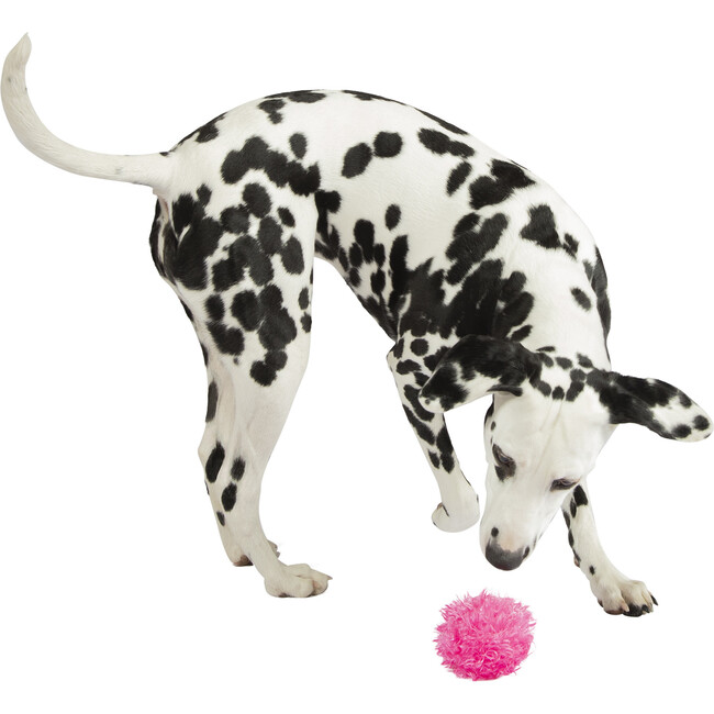 Freaky Squeakies Raspberry Fabric Covered Silicone Toss and Return Dog Toy - Pet Toys - 3