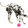Freaky Squeakies Raspberry Fabric Covered Silicone Toss and Return Dog Toy - Pet Toys - 3