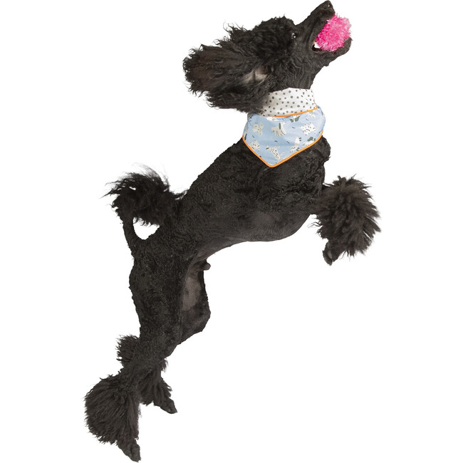 Signature Artistic Reversible Bandana Kerchief for Medium to Large Dogs - Pet Toys - 6