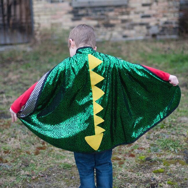 Reversible Dragon/Knight Cape, Green/Silver