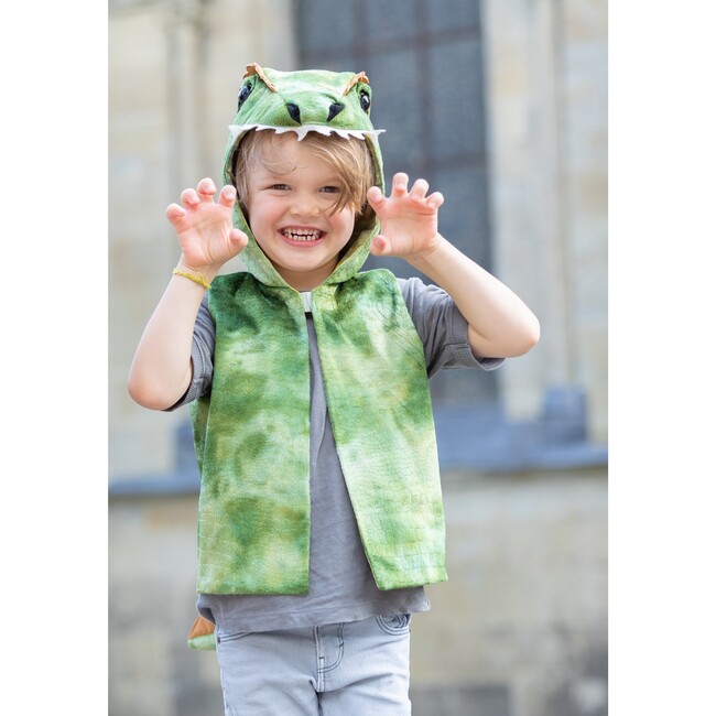 The All Day Everyday Dino Vest