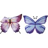Magical Butterfly Soft Wings 2pc Bundle - Costumes - 1 - thumbnail