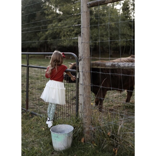 Pine Tight - Stockings - 4