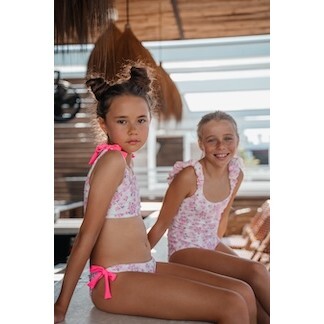 Roses And Stipes Bikini Two Piece Tie Knot Shoulder And Bottom