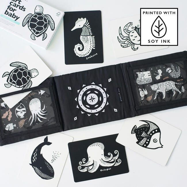 Developmental Bundle for Baby - Ocean