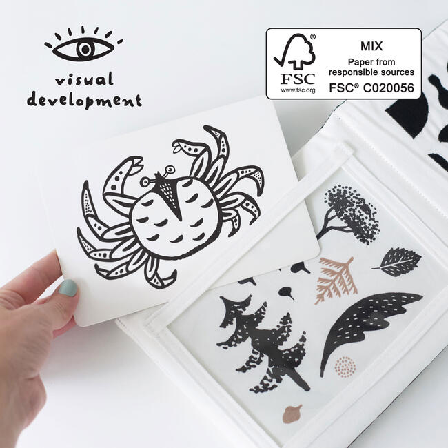 Developmental Bundle for Baby - Ocean - Developmental Toys - 5