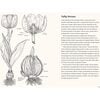 A Little Book of Tulips - Books - 3 - thumbnail