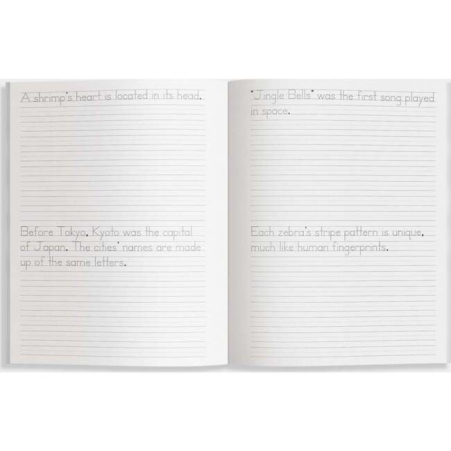 Print Handwriting Practice - Books - 3