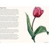 A Little Book of Tulips - Books - 4 - thumbnail