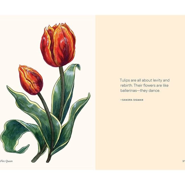 A Little Book of Tulips - Books - 5