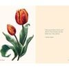 A Little Book of Tulips - Books - 5 - thumbnail