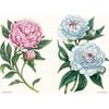 A Little Book of Peonies - Books - 4 - thumbnail
