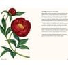 A Little Book of Peonies - Books - 5 - thumbnail