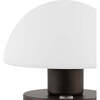 Zoe 5.75" Rechargeable Integrated Portable LED Table Lamp, Oil Rubbed Bronze/White - Lighting - 6