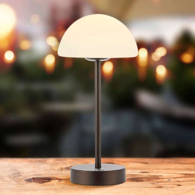 Xavier 12.5" Rechargeable Integrated Portable LED Table Lamp, Oil Rubbed Bronze/White - Lighting - 5