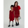 Ruby Feather Dress - Dresses - 7