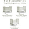 Abigail 3-in-1 Convertible Crib in Heirloom Sage - Cribs - 5
