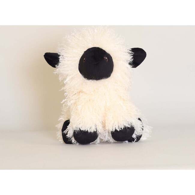 Melchior the Black-Nosed Sheep