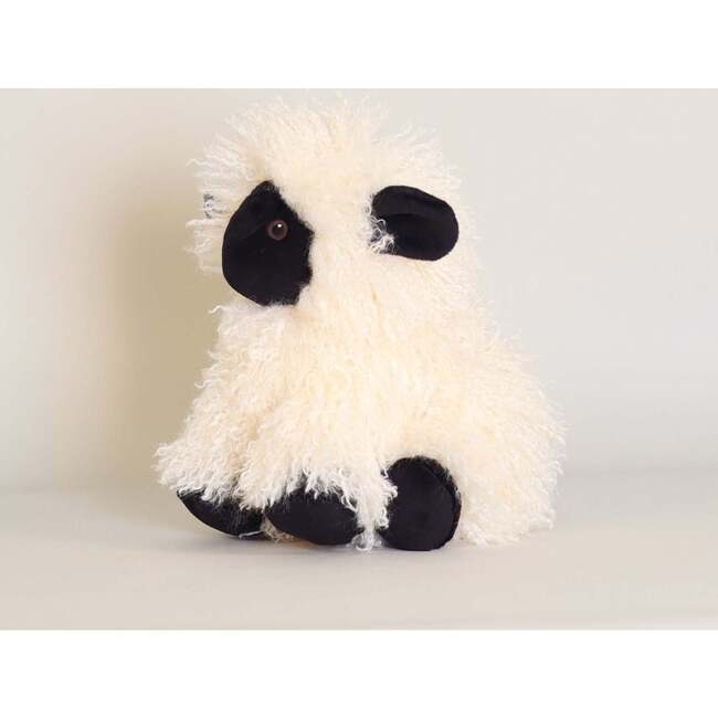 Melchior the Black-Nosed Sheep