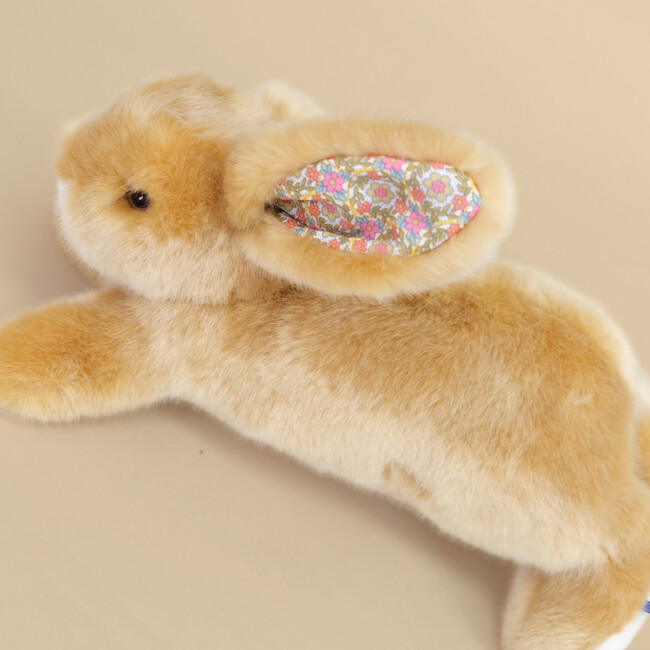 Martin the Rabbit, Honey / Jessie Liberty