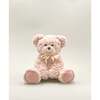 Harold the Bear - Satin Ribbon, Pink - Plush - 1 - thumbnail