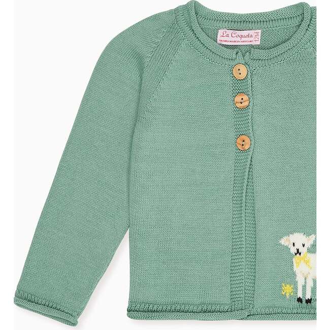 Sage Green Eden Cotton Baby Cardigan