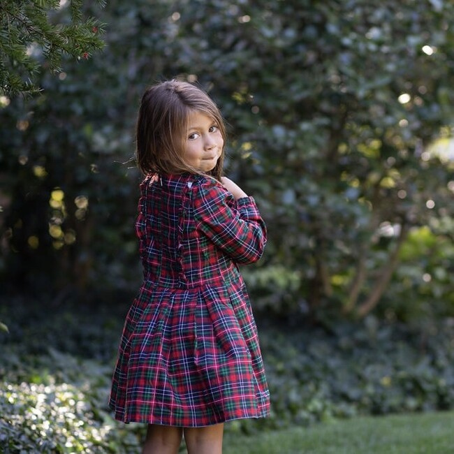 Long Sleeve Ruffle Dress in Plaid