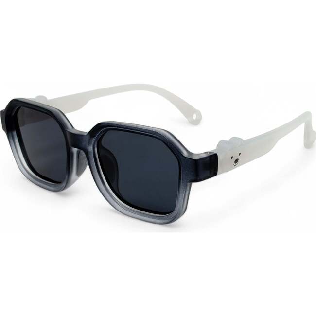 Frost Bear Polarized Explorer Kids Sunglasses, Black