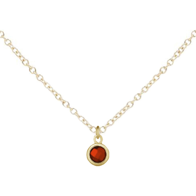 January Birthstone Necklace