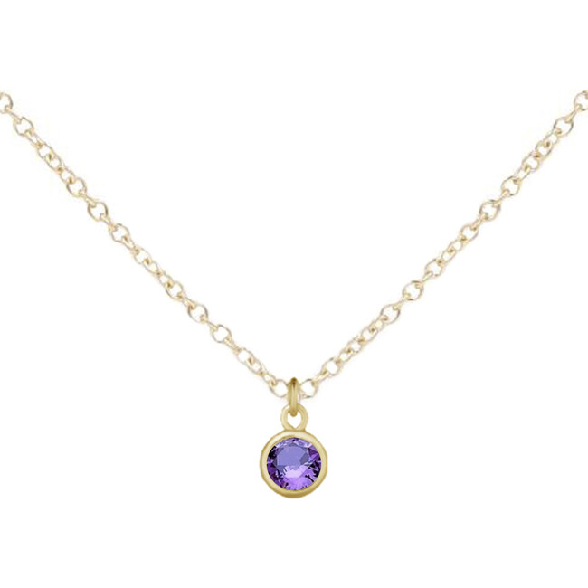 February Birthstone Necklace