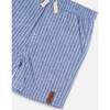 Chambray Shorts, Blue Denim Stripes - Shorts - 4