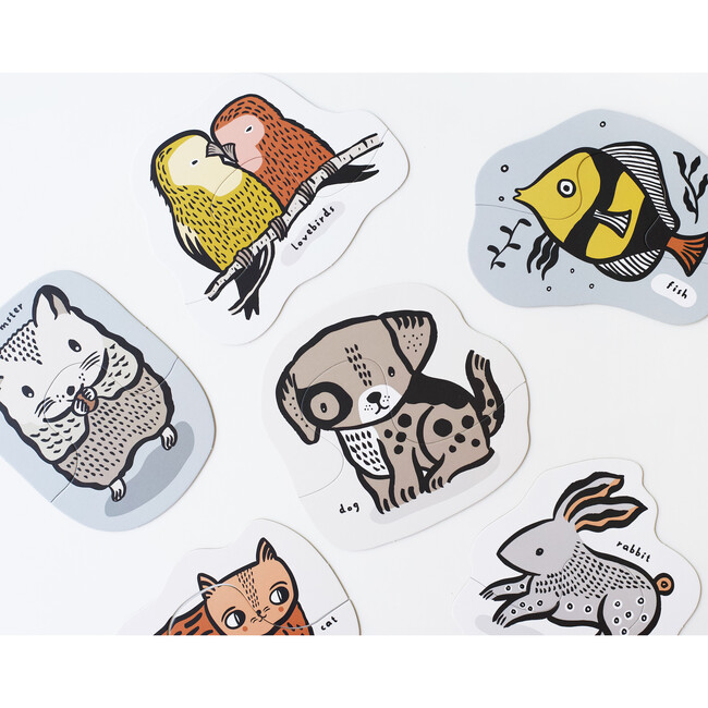 Beginner Puzzles, Pets