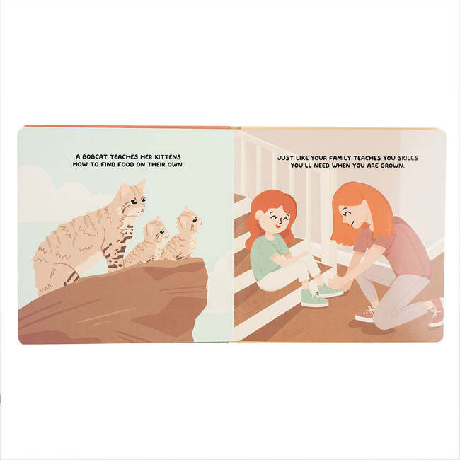 Lucy's Room All About Family Board Book Orange/Multi