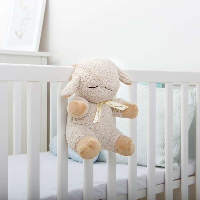 Cloud b  Sleep Sheep®