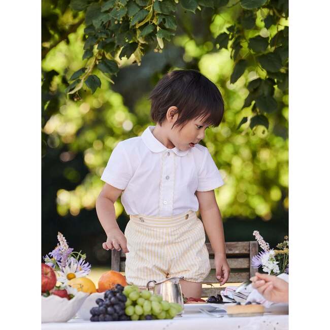Lemon Stripe Orlando Baby Boy Set - Mixed Apparel Set - 2