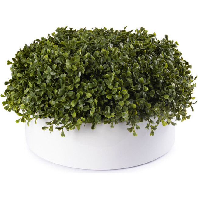 White Round Boxwood Pot - Accents - 1