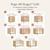 Pogo 8-in-1 Convertible Crib with All-Stages Conversion Kits in Honey - Cribs - 2