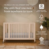 Rolli 9-in-1 Convertible All-Stages® Crib with Bassinet & Toddler Bed Conversion Kits in Washed Natural - Cribs - 8